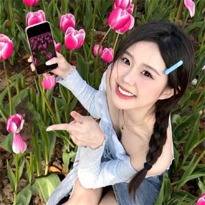 明月守护者封面